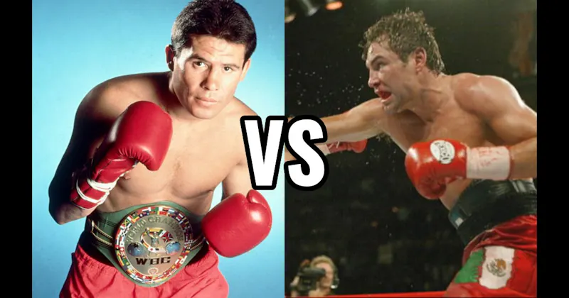 Julio César Chávez vs. Oscar De La Hoya