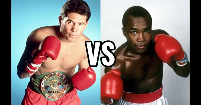Julio César Chávez vs. Sugar Ray Leonard