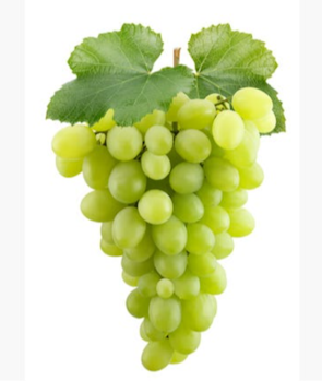 Grapes